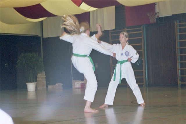 bm_taekwondo_lauingen_11_05__2_.jpg